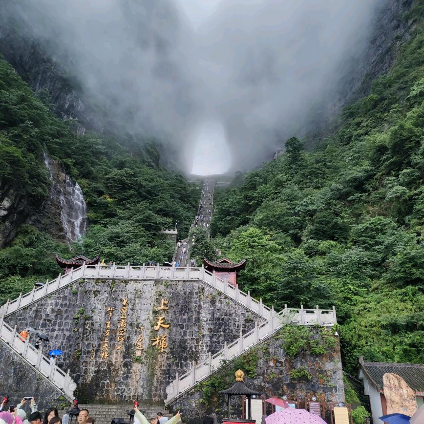 胖纸