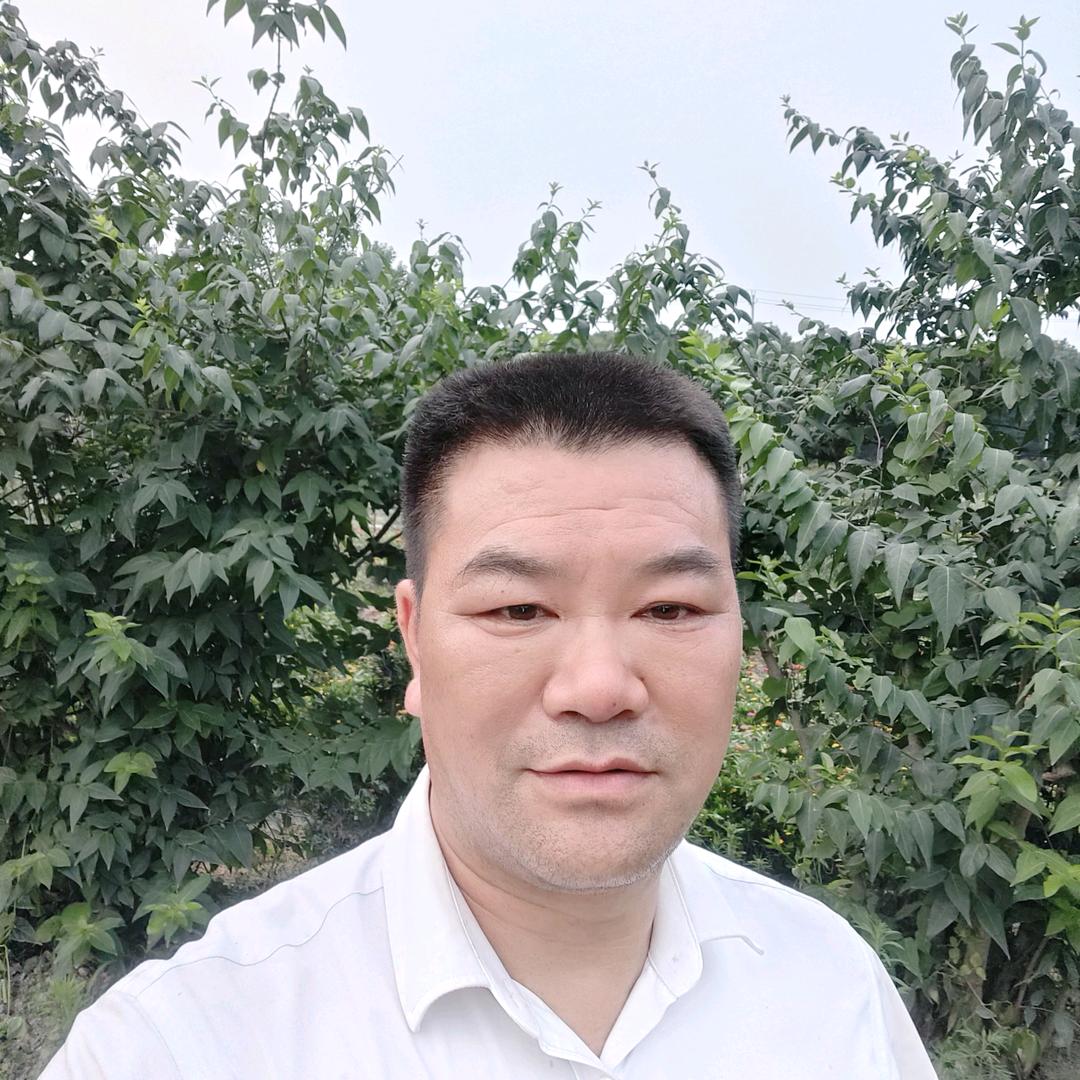 飞哥爱钓鱼