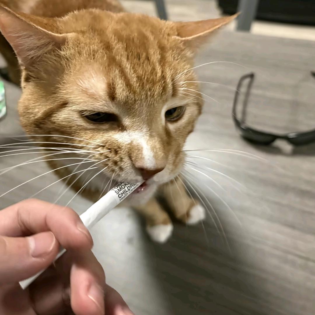 加分项