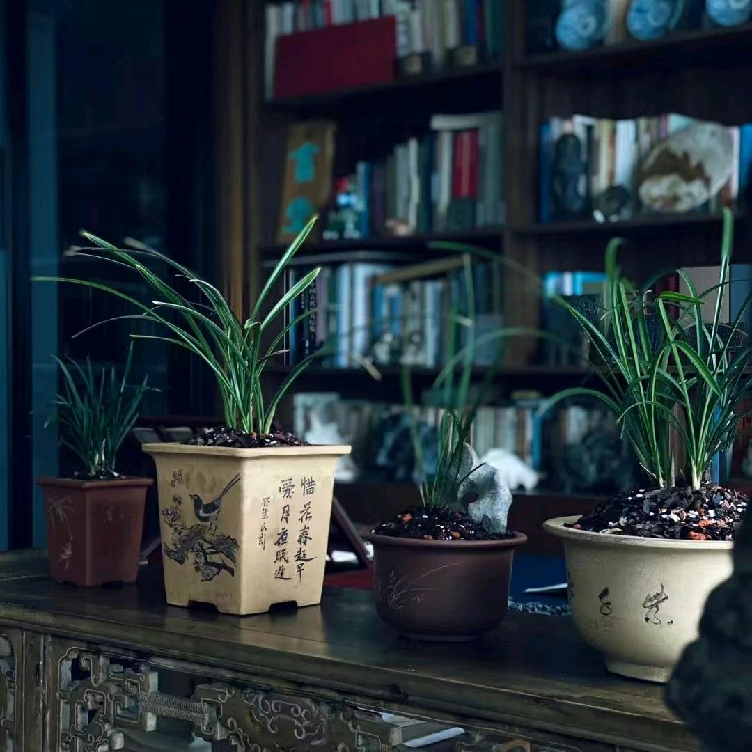 🧊懂得🎈