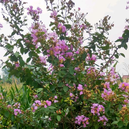 开心过好每一天