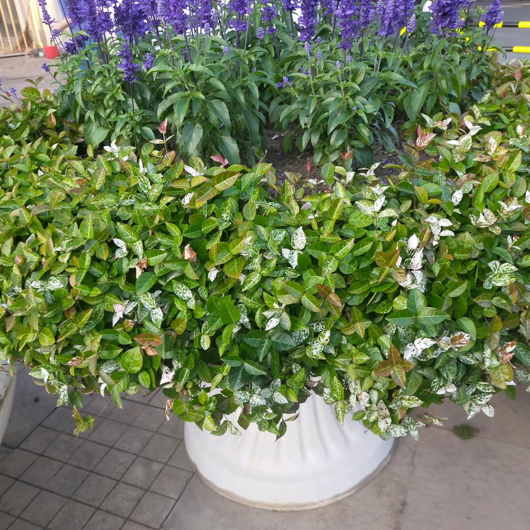 快快乐乐过好每一天