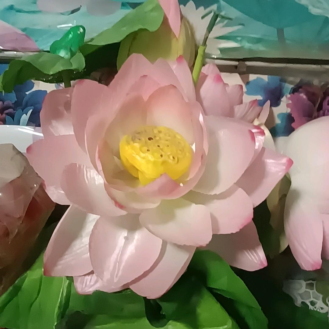 张