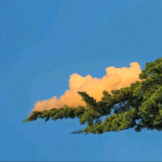 荣峰
