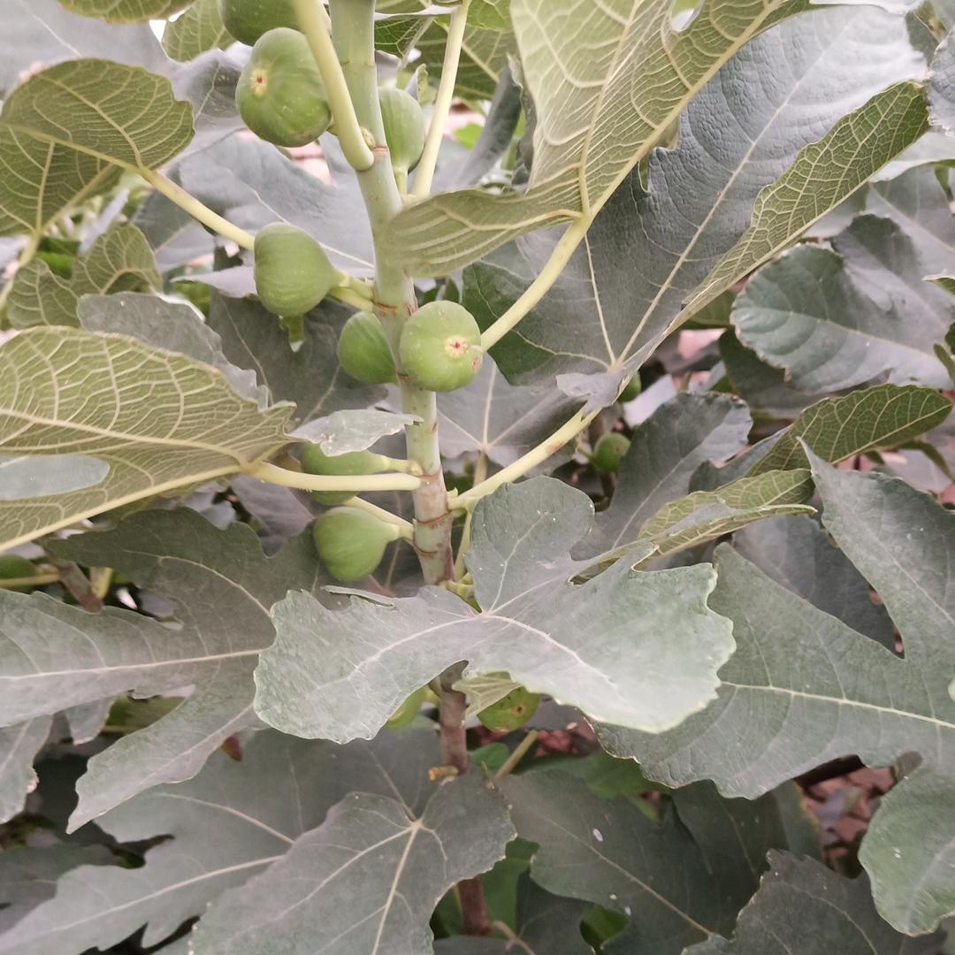 💝💝快乐每一天💝💝🎊