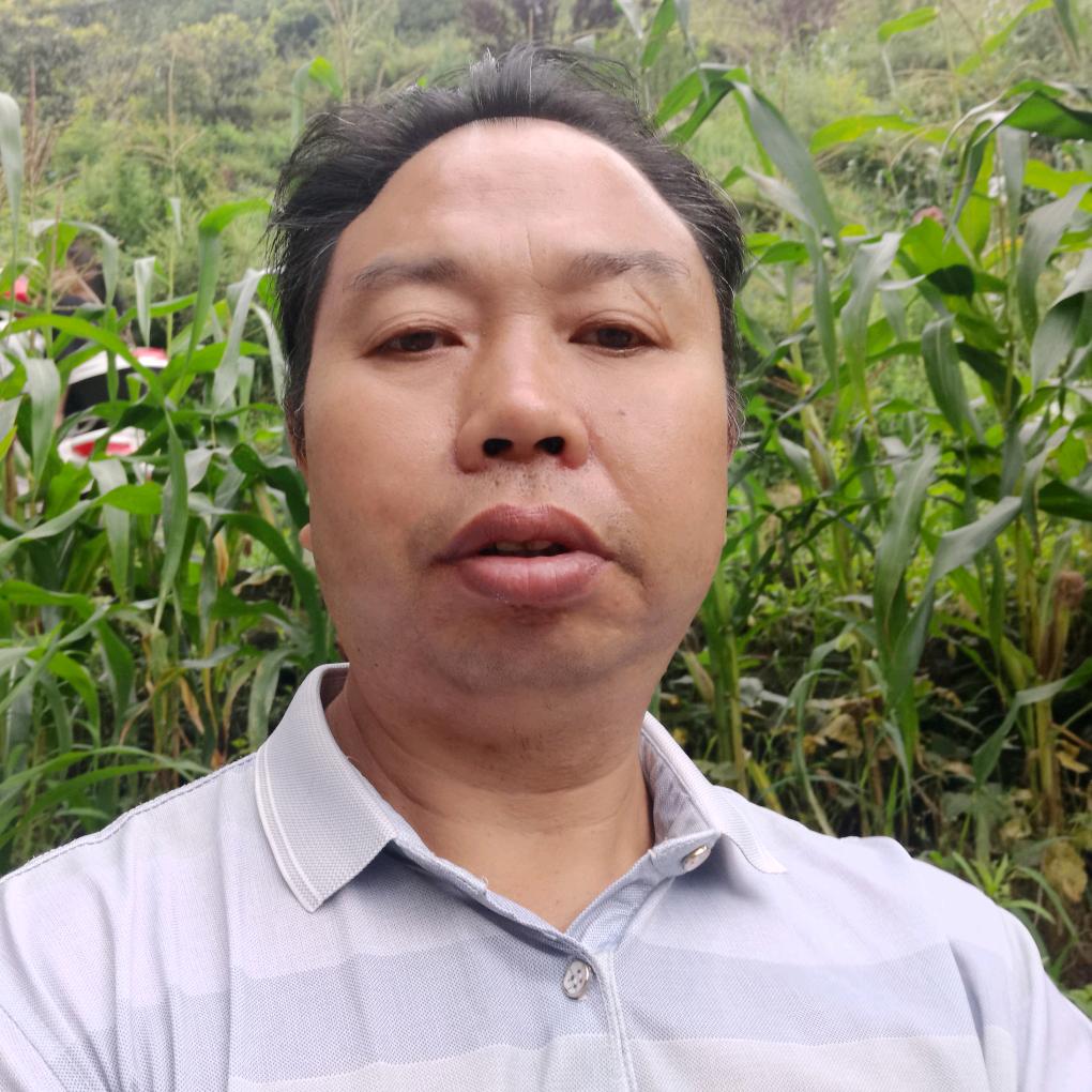 米远（分享聊天直播）