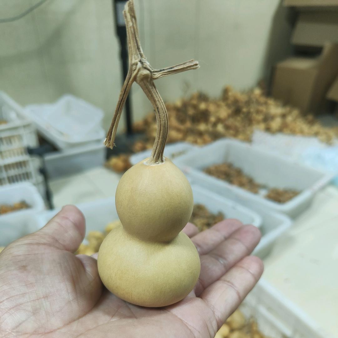 精品把件☞葫芦☞菩提珠