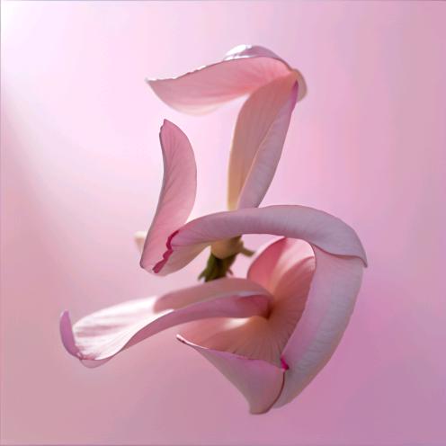 只有想起我心痛