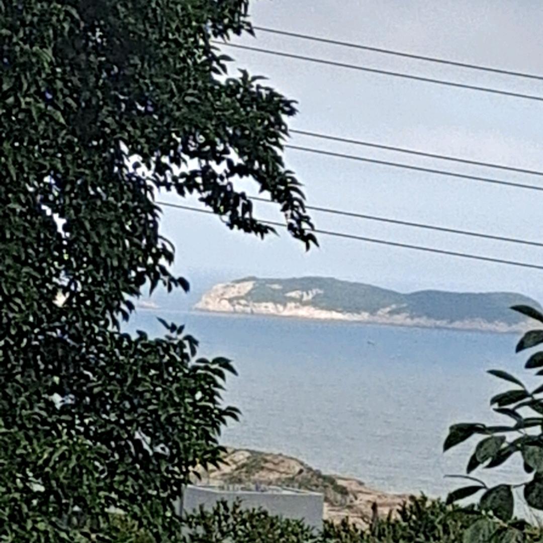 邹三哥