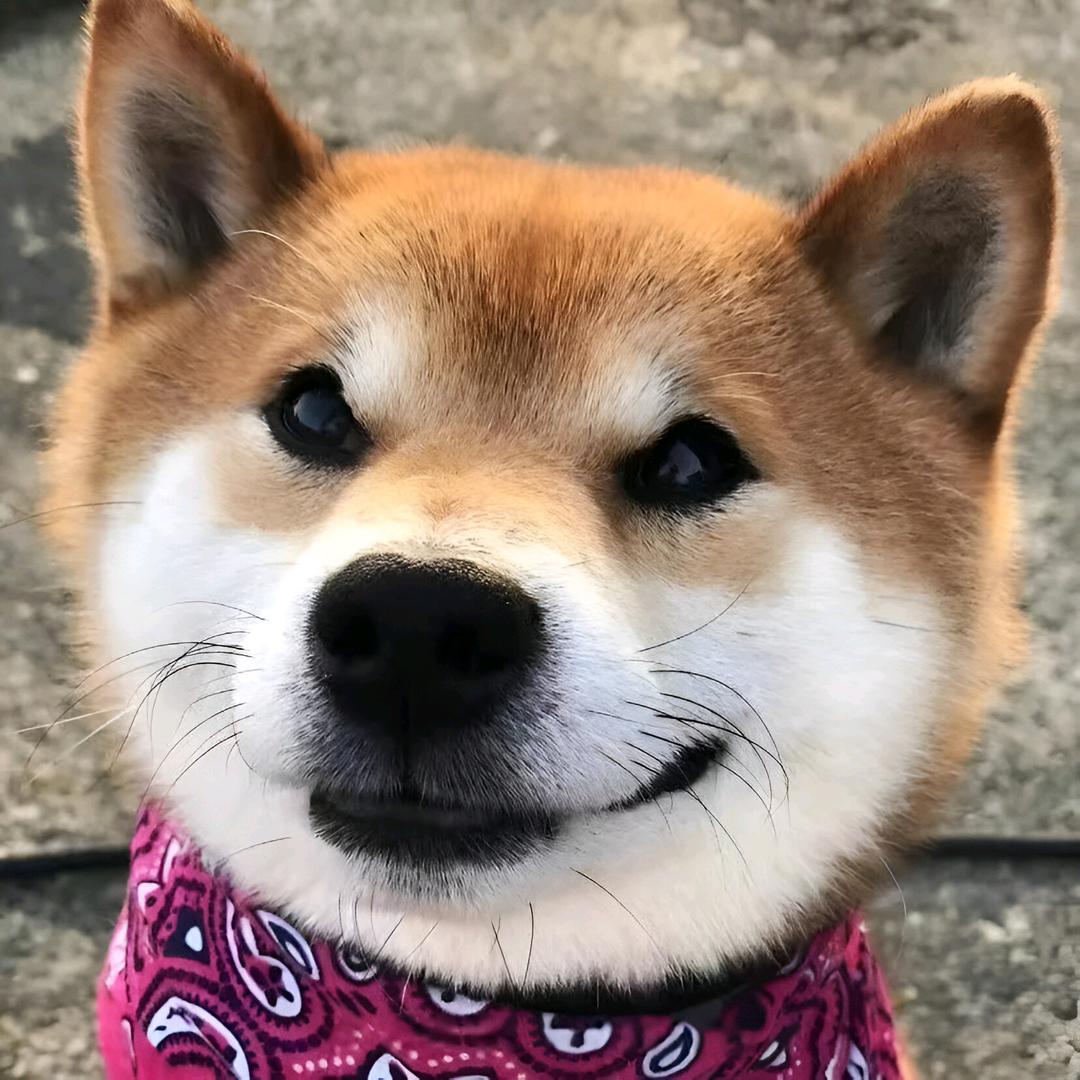 韩三拾