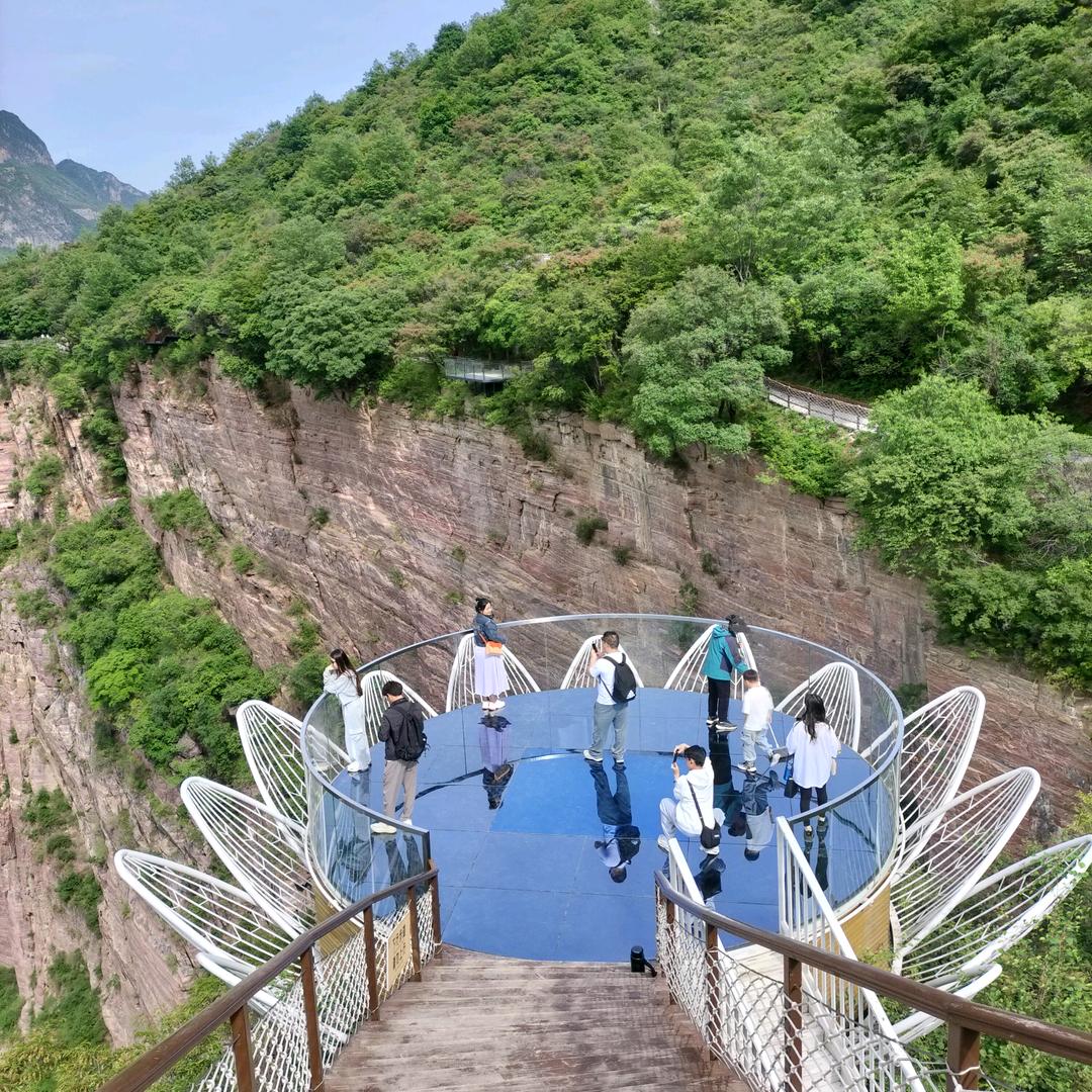 灰太狼