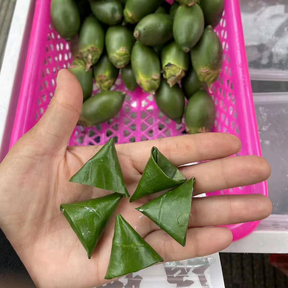 海南槟榔姐妹