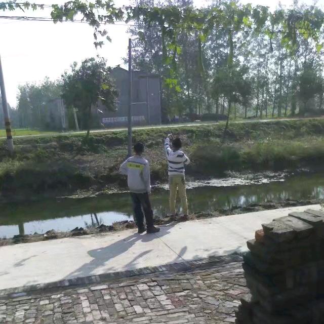 淡然
