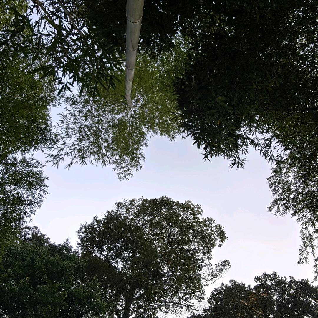 泥男（关赞必回）