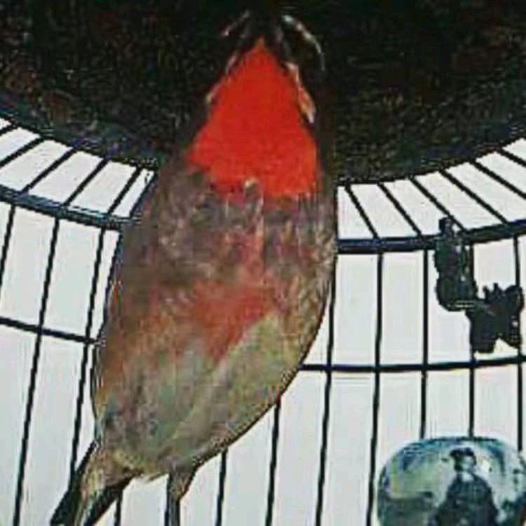 丢了自己丢了世界