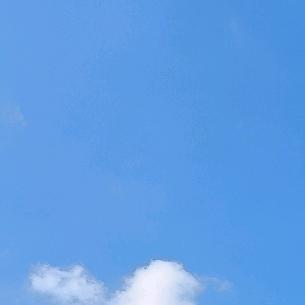 小秋
