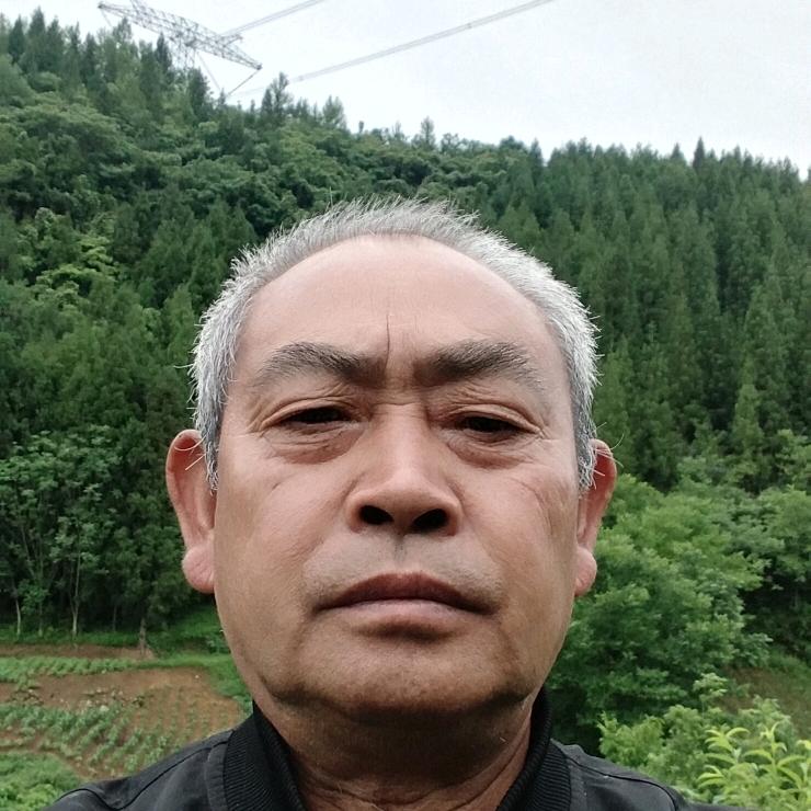 张国兴