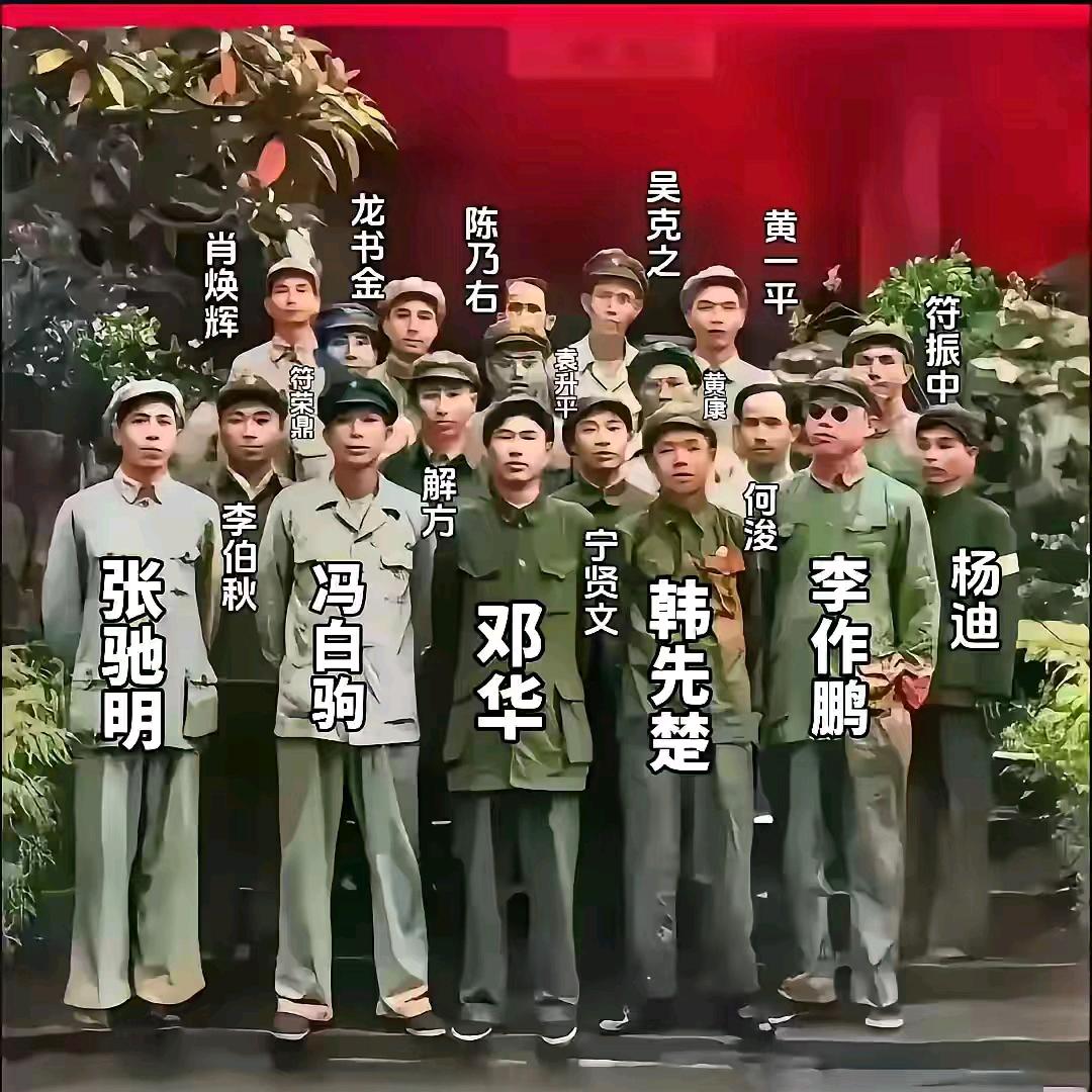 十五兵团（四野雄狮另外一个号）