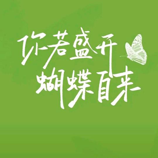 不凡教育李老师