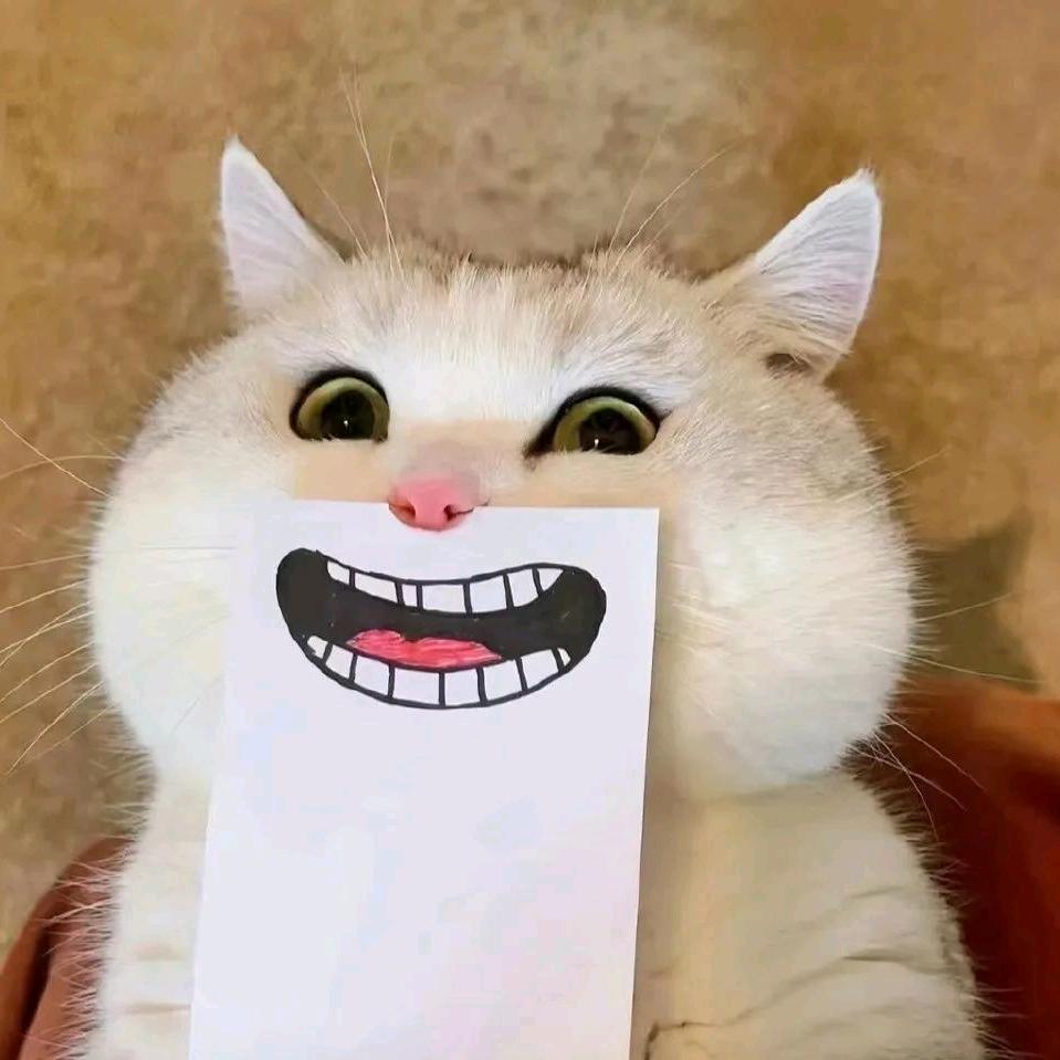 七月mmoo
