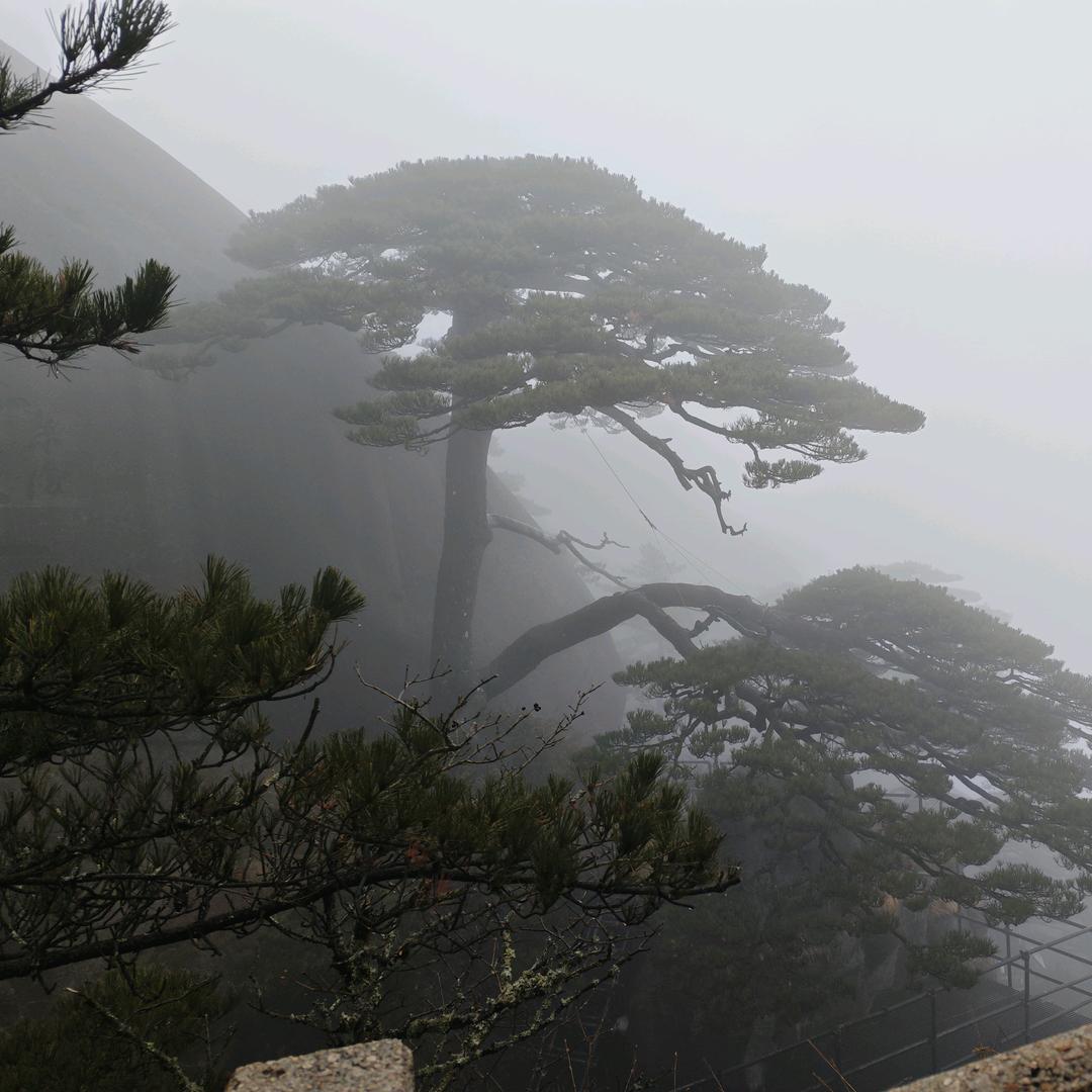 张集矿4.2-6.8平板货车出租