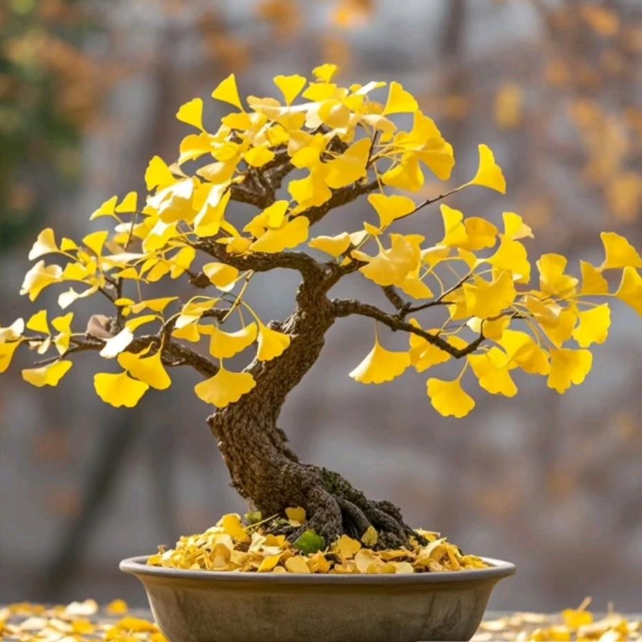 顺风顺水顺如意