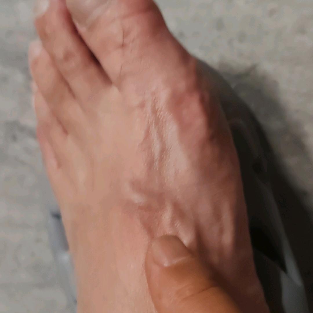 任它行