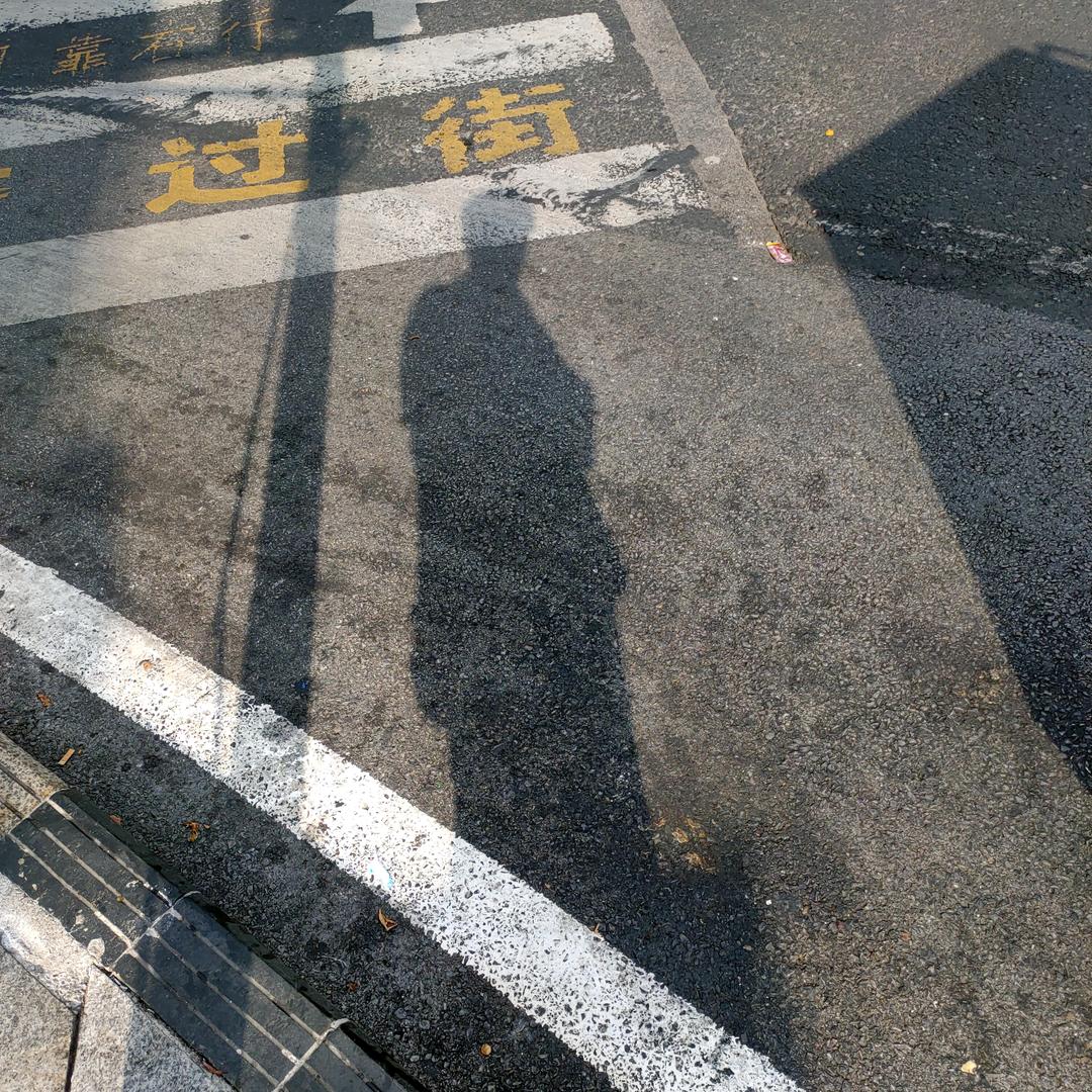 坏不蛋