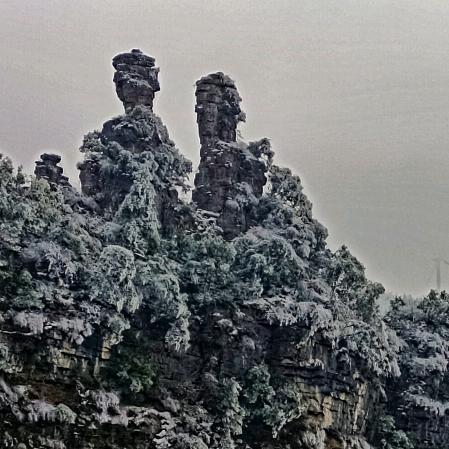 爱吃藕肠子的关小月