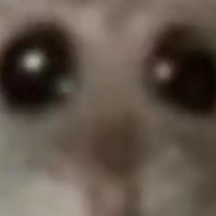 用户9196253503861