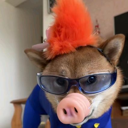 宇宙第一帅哥GG Bong