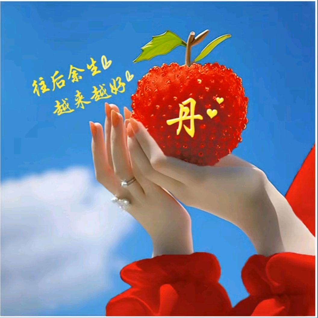 随心