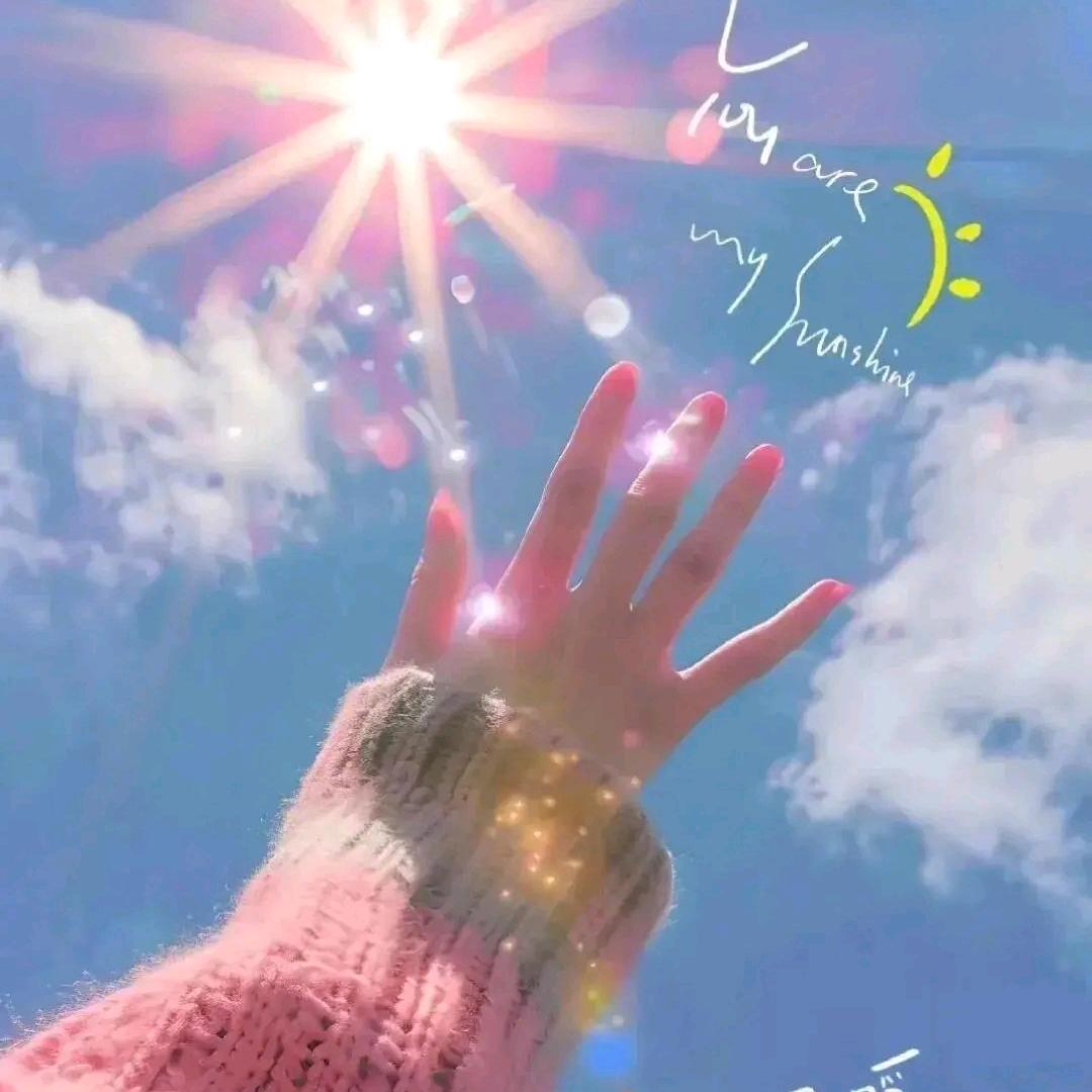 蒙蒙