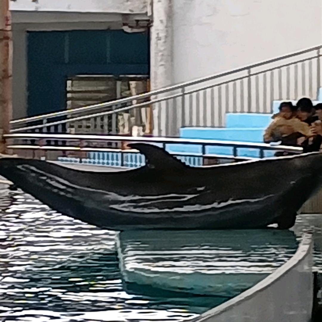 静心