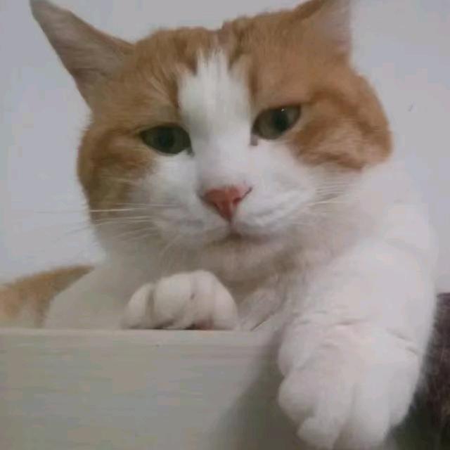 一刀