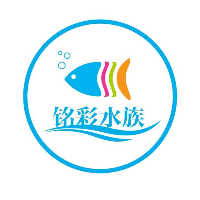 铭彩水族