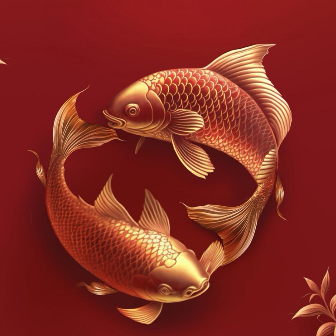 向钱看🤓向厚赚