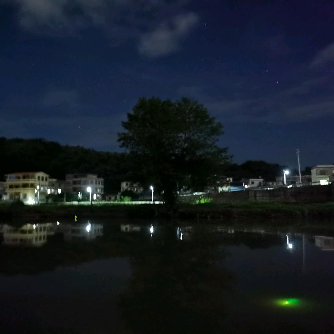 深海的鱼