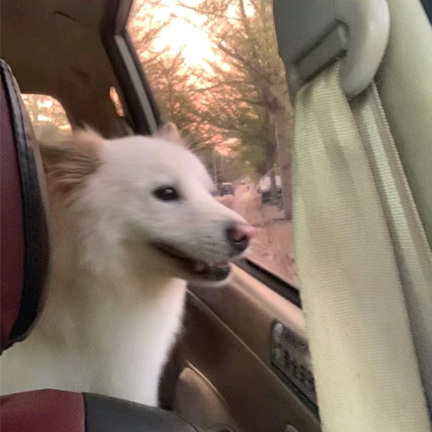 AAA建材批发符哥