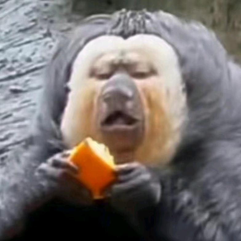 梨雾米（吃货+旅游+日常）