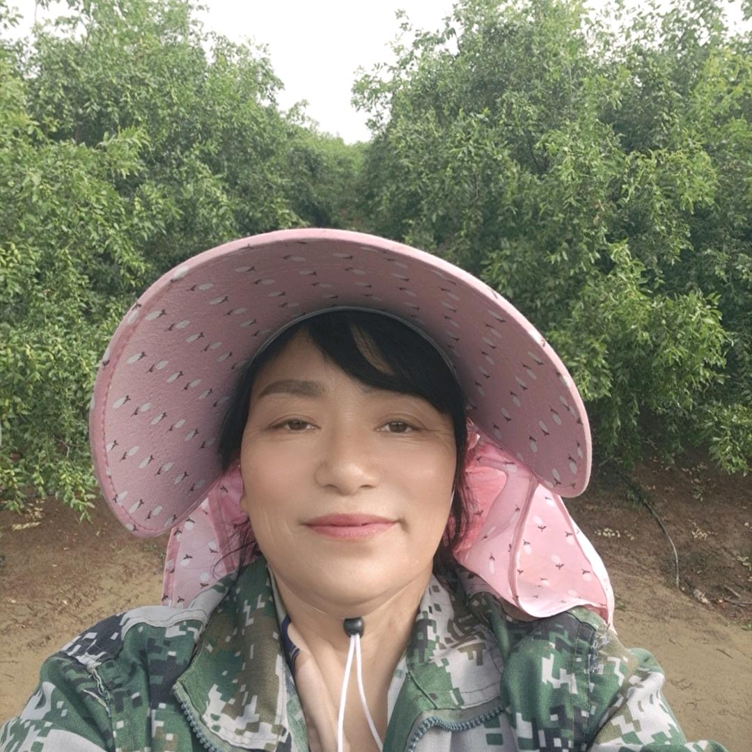 和田种枣王姐