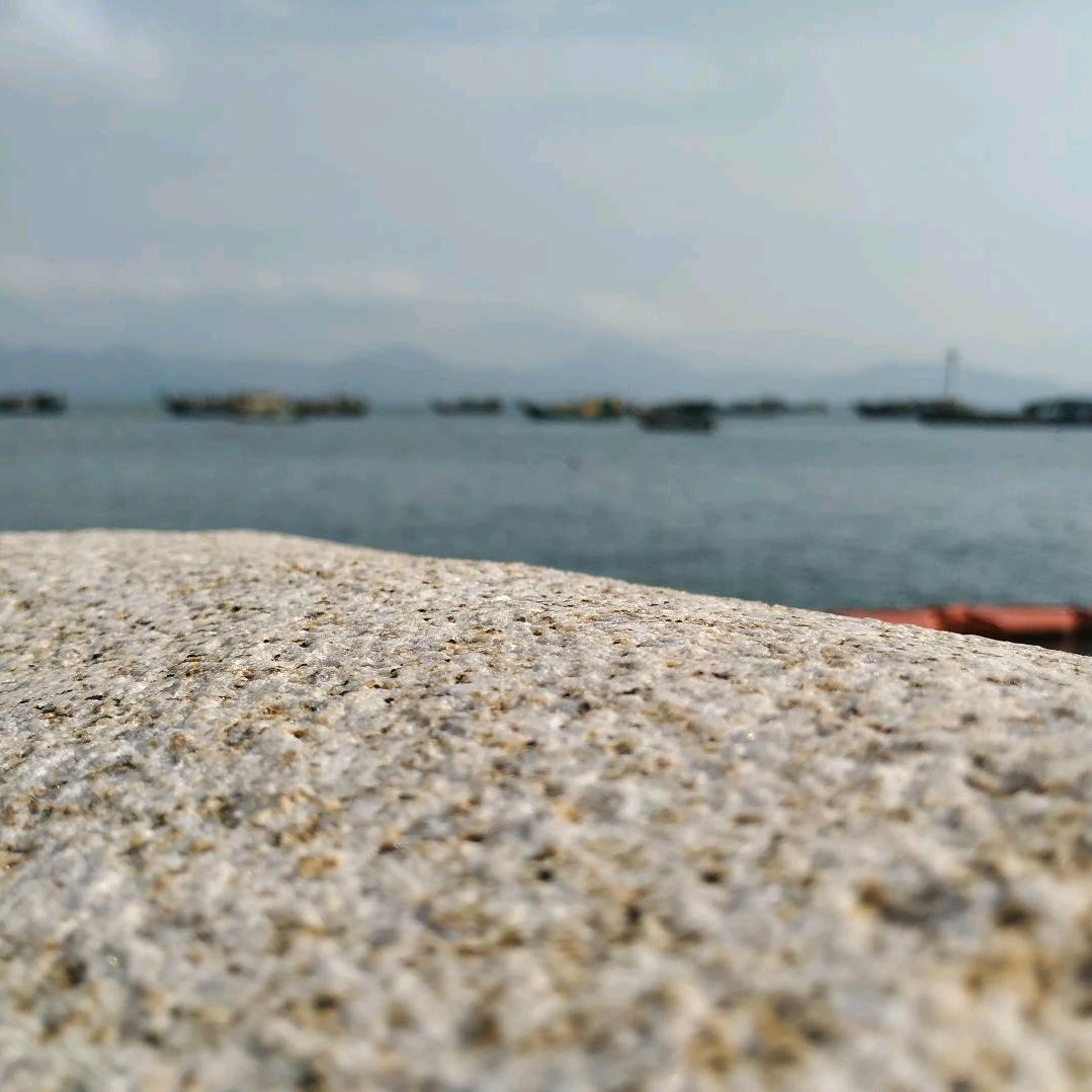 河北酸枣仁☞柳柳
