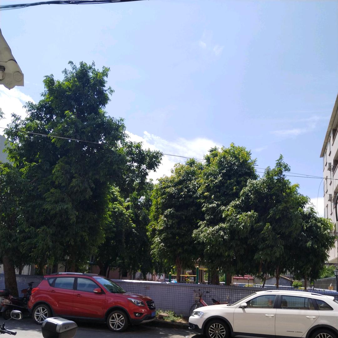 @野狼，🐺🐺🐺🐺