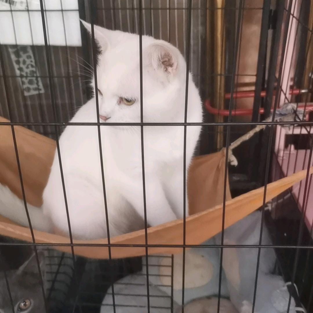 宝～宝
