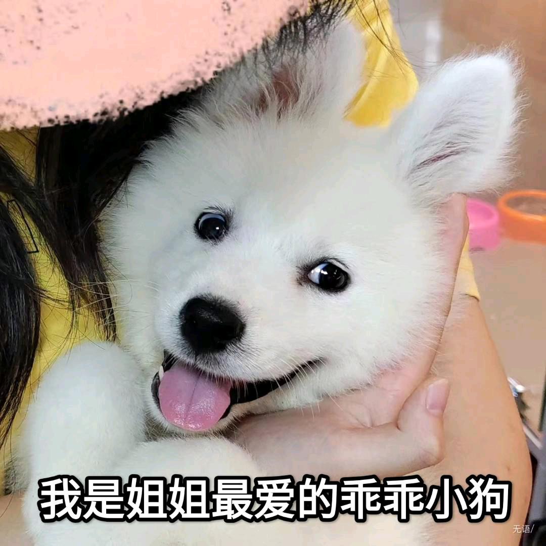 邬羽
