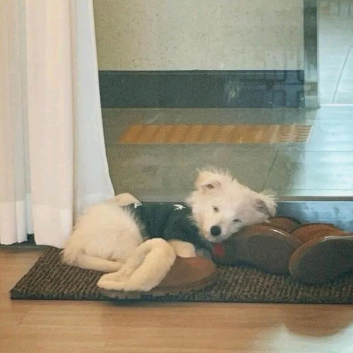 星期天不上发条