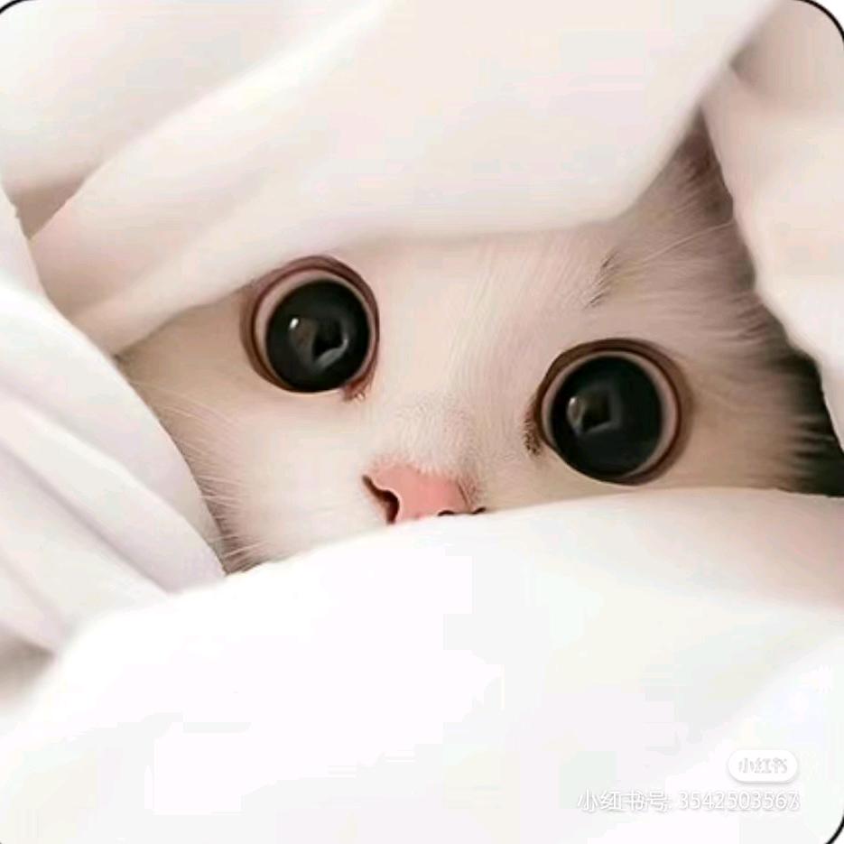 এ᭄幸运ꦿཽ࿆相遇