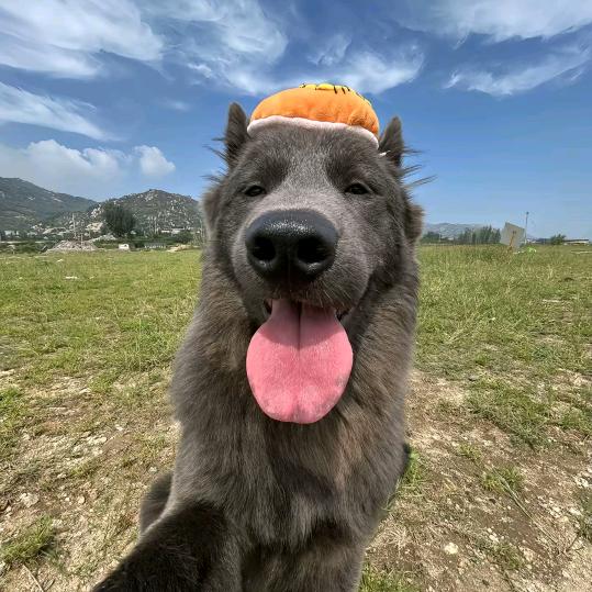 把处男膜留给最爱的女人