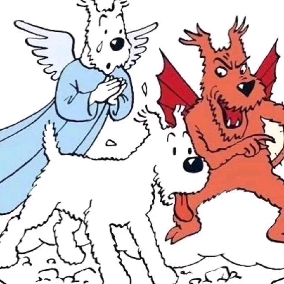 有所不安