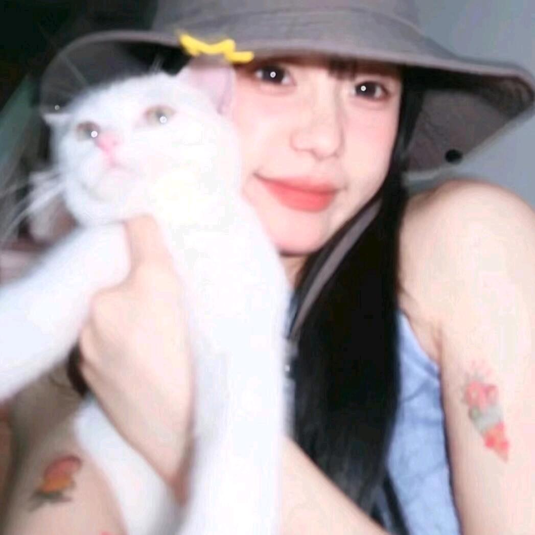 酸奶盖